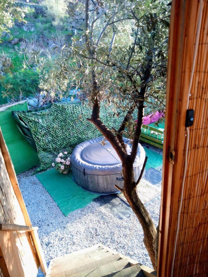 Treehouse ,Casa Arbol, With Spa Algarrobo Ngoại thất bức ảnh